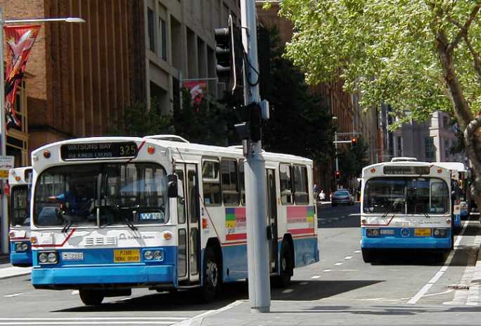 Sydney Buses Mercedes O305 PMC 2337